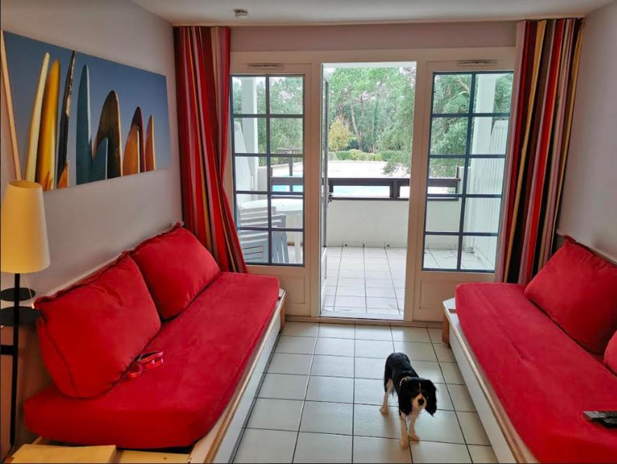 Apartment Great Between Golf Course And